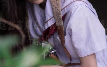 这么多瓜在www.17苹果版，一口气能吃多少？