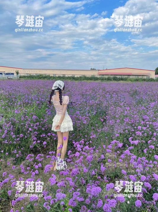 登录17吃瓜网，把日常无聊过成升级版吃瓜行程！