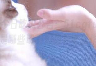 今日吃瓜公告：51cgfun首页上又是哪些明星们的神奇操作？