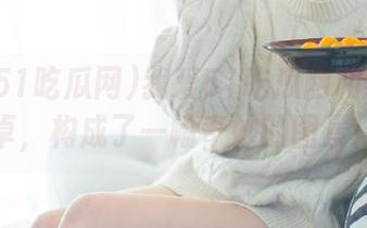 我爱51吃瓜网和我的安卓，构成了一幅奇妙的图景！