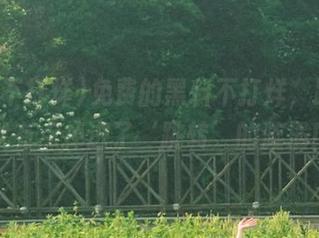 免费的黑料不打烊，跟进去就有点掉进了‘跳转’的漩涡！